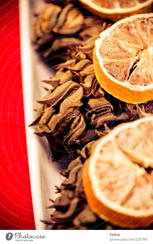 tattoo Fruit Fragrance Natural Dry Red Beautiful Orange Cone Dried fruits Colour photo Interior shot Close-up Detail Flash photo Blur Copy Space left