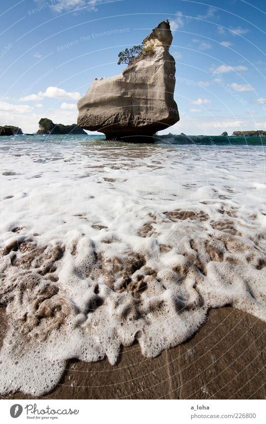 cathedral cove Nature Elements Sand Water Sky Clouds Beautiful weather Rock Waves Coast Beach Ocean Movement Famousness Cold Wet Wanderlust Loneliness Pure