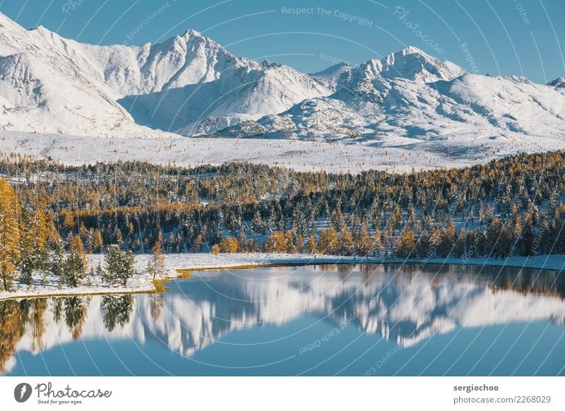 siberian alps Nature Landscape Water Autumn Winter Beautiful weather Ice Frost Snow Tree Alps Mountain Lakeside Authentic Wisdom Target Mirror Surface of water