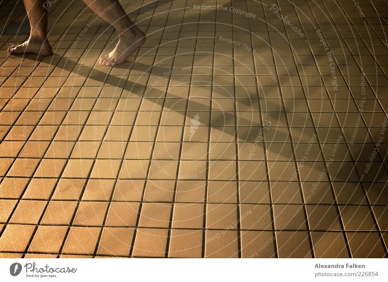 Feet on tiles. Wellness Leisure and hobbies Sportsperson Swimming pool Indoor swimming pool Sporting Complex Human being Masculine Man Adults Life Lower leg 1