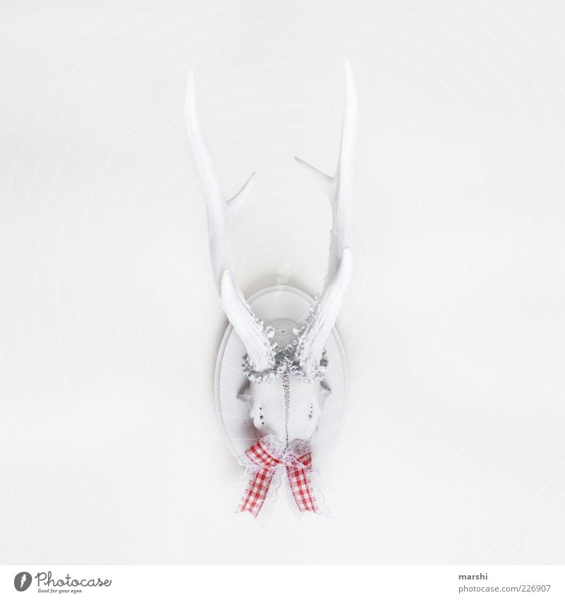 stubborn Style Design Living or residing Animal Animal face Sign White Antlers Hunting Trophy Buck Bow Decoration Wall (building) Isolated Image Checkered Retro