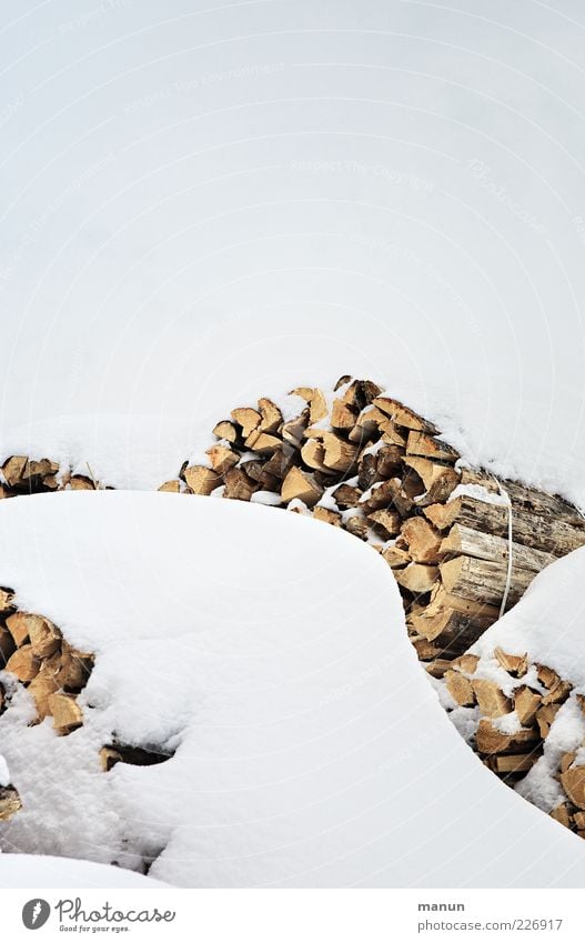 firewood Nature Sky Winter Ice Frost Snow Wood Raw materials and fuels Raw materials depot Renewable raw materials Firewood Stack Authentic Simple Bright Cold