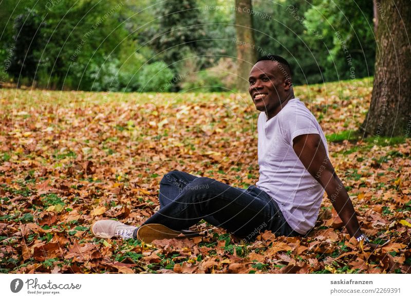 Park IV. Contentment Vacation & Travel Human being Masculine Young man Youth (Young adults) Man Adults Culture Nature Autumn Leaf Jeans Lie Dream Athletic