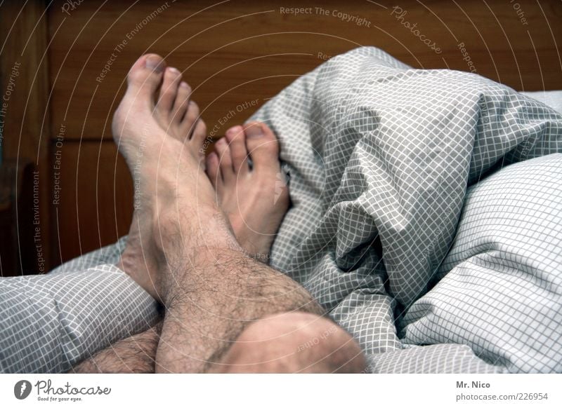 after Well-being Contentment Relaxation Calm Masculine Skin Legs Feet Hair Sleep Fatigue Siesta Toes Bed Bedclothes Barefoot late riser Crossed Sunday morning