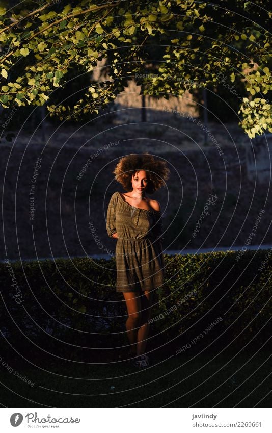 Young black woman with afro hairstyle at Sunset. Lifestyle Style Happy Beautiful Hair and hairstyles Face Human being Feminine Young woman Youth (Young adults)