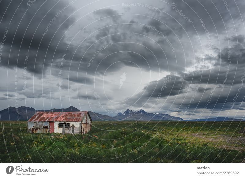 Icelandic spring Nature Landscape Plant Sky Clouds Storm clouds Horizon Spring Weather Beautiful weather Bad weather Wind Grass Field Mountain Snowcapped peak