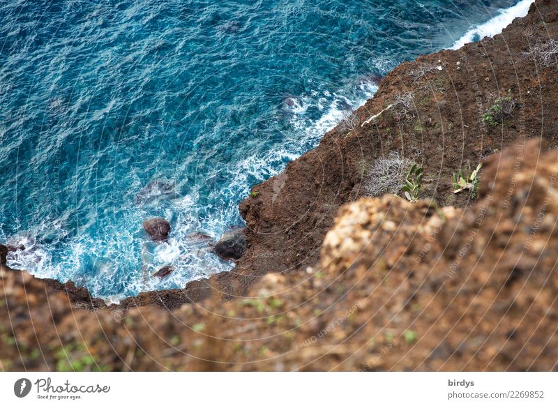 Steep coast on Madeira, view from above to the Atlantic Ocean steep coast Rock Waves Elements Reef Island Maritime Blue Brown Esthetic Nature Risk