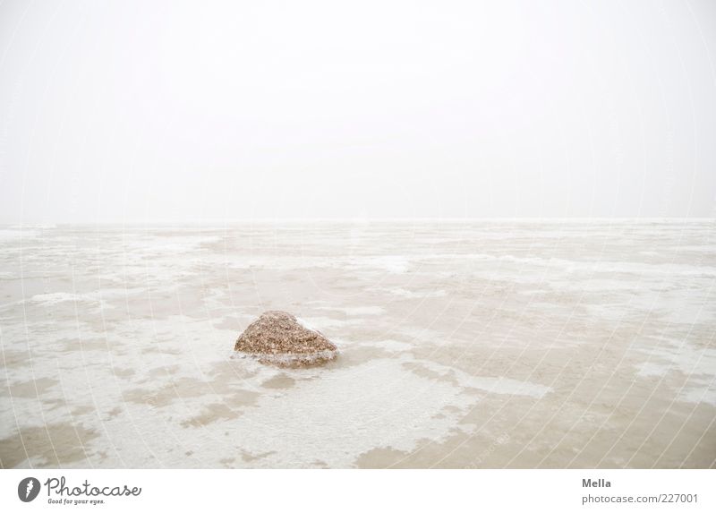 Ice breaks stone Environment Nature Landscape Elements Winter Climate Climate change Weather Fog Frost Coast North Sea Ocean Stone Bright Cold Loneliness