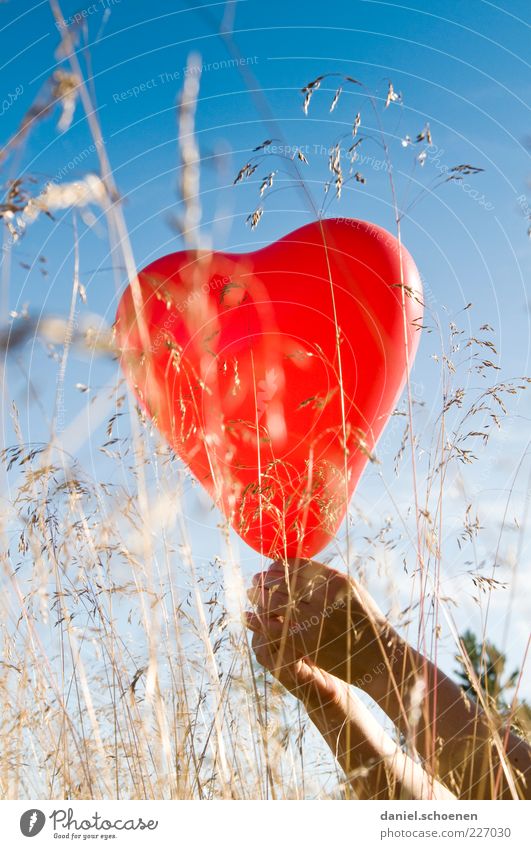 Barbara, look !! Arm Hand 1 Human being Beautiful weather Grass Balloon Heart Blue Red Emotions Moody Joy Happy Happiness Joie de vivre (Vitality) Sympathy