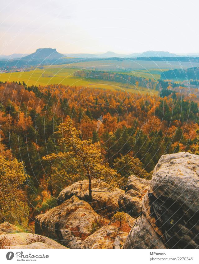 saxony Environment Nature Landscape Beautiful weather Plant Tree Field Forest Hill Mountain Relaxation Autumn Saxon Switzerland Vantage point Hiking