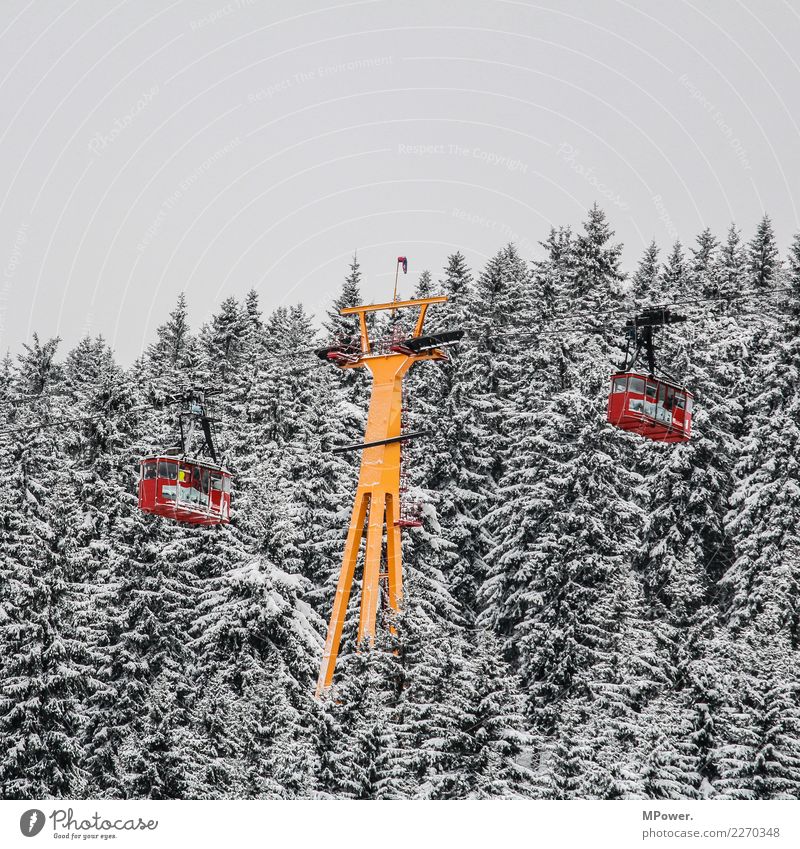 gondola lift Technology Environment Bad weather Snow Forest Mountain Cold Cable car Gondola Winter Winter vacation Winter sports Winter mood Red