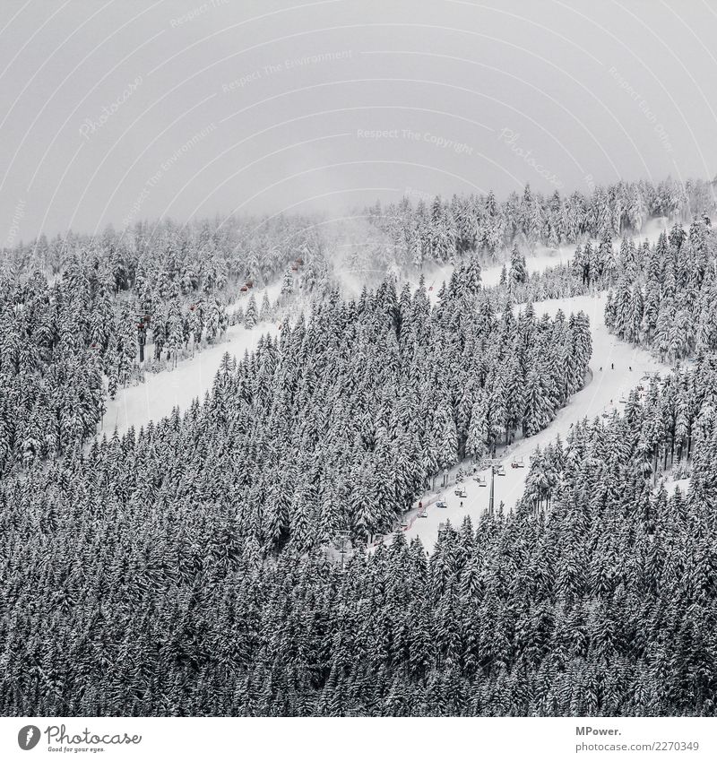 skiing area Environment Clouds Winter Bad weather Fog Snow Forest Mountain Cold Winter vacation Winter mood Ski resort Ski lift Ski run Colour photo