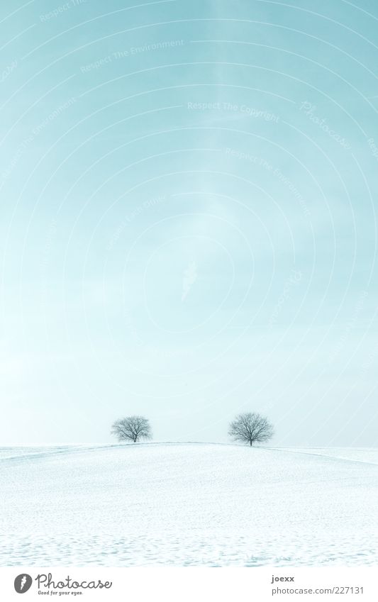 long-distance relationship Landscape Sky Horizon Beautiful weather Ice Frost Snow Tree Park Field Far-off places Together Infinity Blue White Calm Idyll Cold
