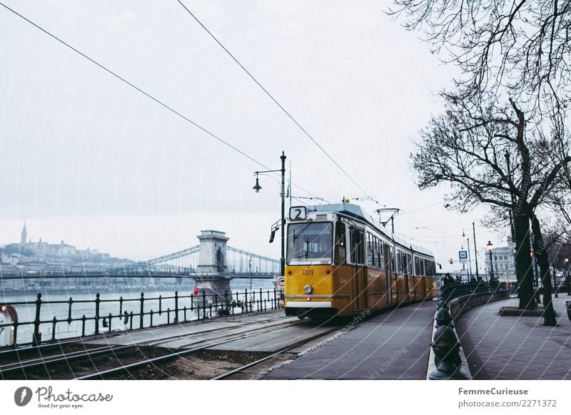 Tram in Budapest next to Danube (Danube) Transport Means of transport Traffic infrastructure Passenger traffic Public transit Rush hour Train travel Logistics