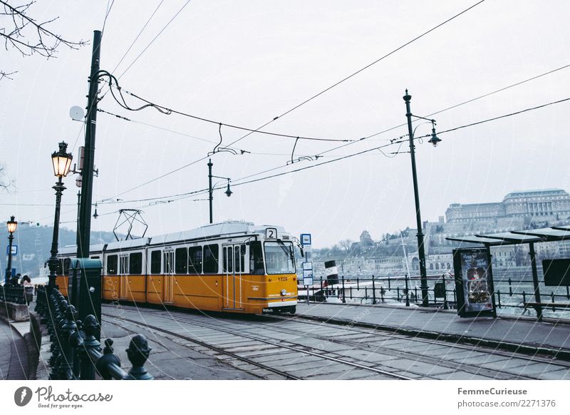 Tram in Budapest Town Capital city Logistics Public transit Lantern Overhead line Stop (public transport) Station Danube Yellow Hungary Winter Covered