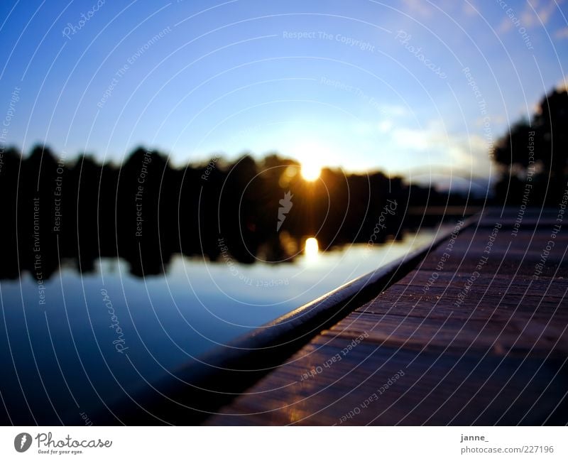 on the jetty Environment Nature Landscape Plant Elements Air Water Sky Clouds Horizon Sun Sunrise Sunset Sunlight Summer Beautiful weather River bank Relaxation