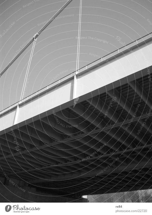 Next to the Bridge Cologne Severins bridge Under Steel Raw Iron Concrete Gray Black White Carrier Wire Rhine Perspective Shadow Stone Cologne-Deutz Sky Rope