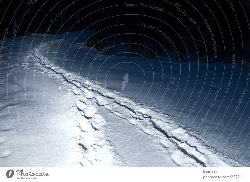 Coalition in the night Snow Lanes & trails Winter Forest Nature Night Lighting Target Footprint Tracks Dark 2 Synthesis Mixture Connect Fusion Creepy Fear