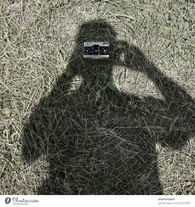 view into the camera Camera Masculine 1 Human being Grass Meadow Gray Green Take a photo Exterior shot Close-up Day Shadow Contrast Upper body