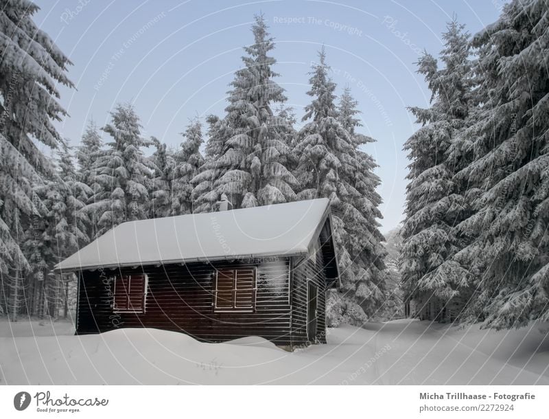 Cottage in the snow-covered forest Vacation & Travel Tourism Winter Snow Winter vacation Hiking House (Residential Structure) Winter sports Skiing Sledding