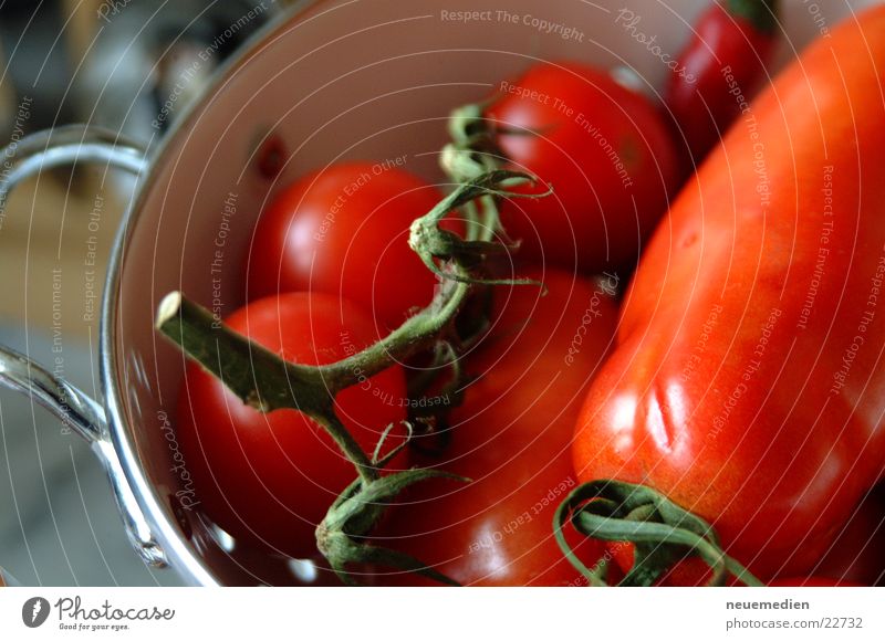tomatoes Italy Red Healthy Tomato Pomodoro Macro (Extreme close-up)
