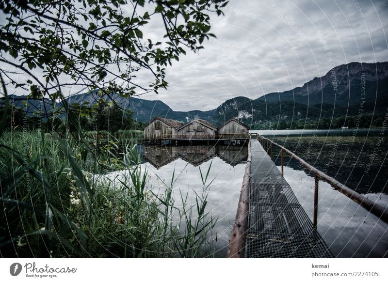 Morning at the Kochelsee Senses Relaxation Calm Vacation & Travel Adventure Freedom Landscape Water Sky Clouds Weather Tree Grass Bushes Alps Mountain Lake