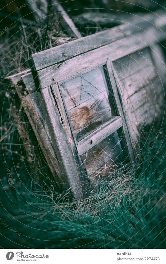 Old and broken wooden window Environment Nature Plant Grass Wood Glass Crystal Dirty Dark Authentic Simple Cheap Broken Retro Gray Green Poverty End
