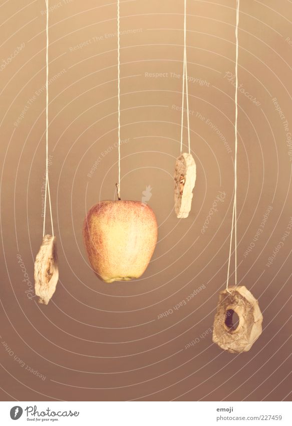 | | | | Fruit Apple Nutrition Organic produce Sweet Dry Hang Dried fruits String Process Still Life Colour photo Interior shot Neutral Background