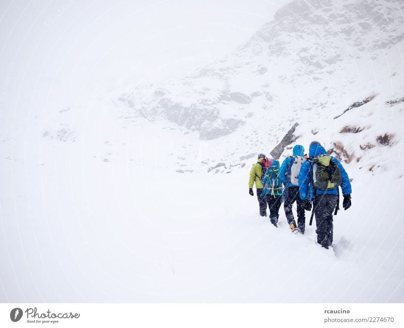 Mountaineers team during a winter expedition. Vacation & Travel Tourism Adventure Expedition Winter Snow Hiking Sports Success Human being Group Landscape