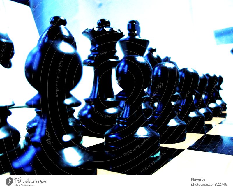 chessmen Chess piece White Black Playing Planning Board game Leisure and hobbies Think Intellect Row Lady King Start position Macro (Extreme close-up)