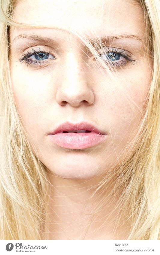 blonde Woman Human being Attractive Blonde Feminine Earnest Sadness Portrait photograph Looking into the camera Close-up Self-confident Hair and hairstyles