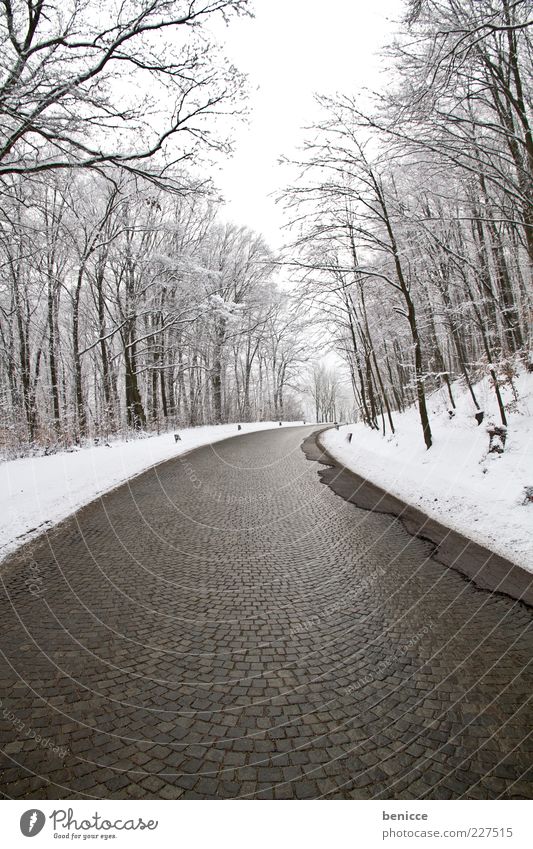 empty Street Lanes & trails Winter Forest Snow Cold Ice Frozen Deserted Empty Expressionless Gloomy Loneliness Background picture Curve Transport Paving stone