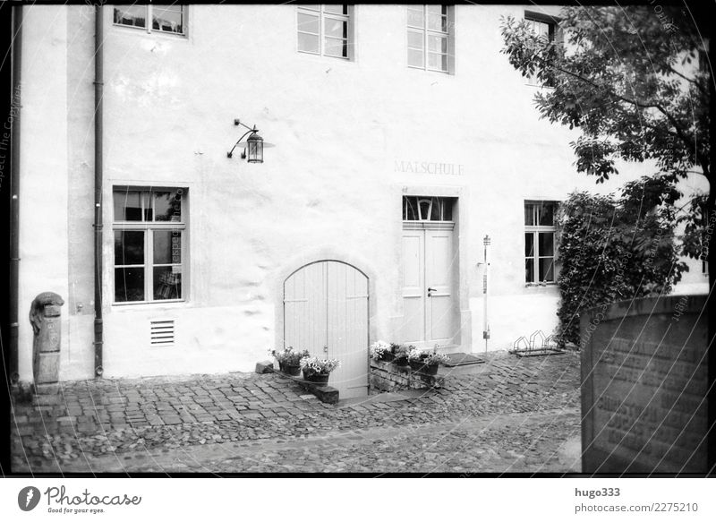 Old Wittenberg Living or residing House (Residential Structure) Lutherstadt Wittenberg Saxony-Anhalt Village Town Downtown Old town Tourist Attraction Black