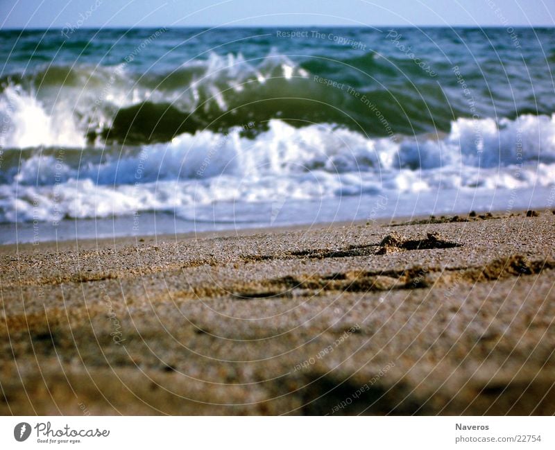 Non-hazardous surf Ocean Beach Footprint Summer Vacation & Travel Waves Water Tracks Sand