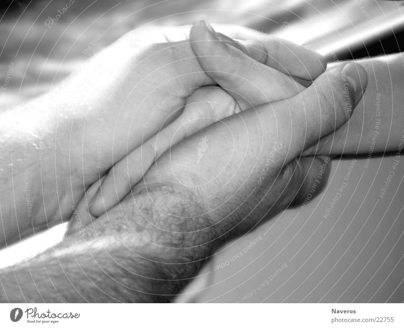 lovers Happy Harmonious Human being Masculine Couple Partner Hand 2 Touch To hold on Love Together Soft Black White Safety (feeling of) Sympathy Infatuation