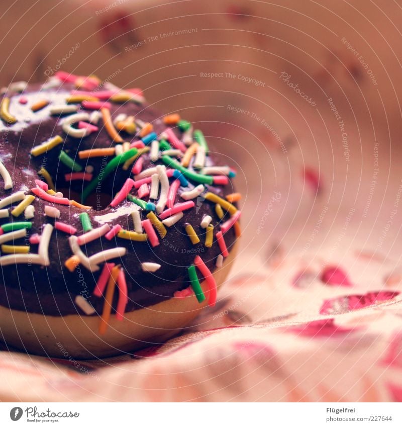 Deceptively real Dough Baked goods Dessert Candy Chocolate Nutrition Delicious Donut False Deception Plastic Granules Multicoloured Flowery pattern Appetite