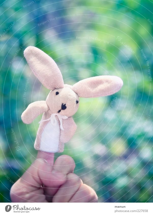 My name is Rabbit.... Playing Handcrafts Feasts & Celebrations Easter Easter Bunny Toys Cuddly toy Decoration Hare & Rabbit & Bunny Finger puppet Happiness