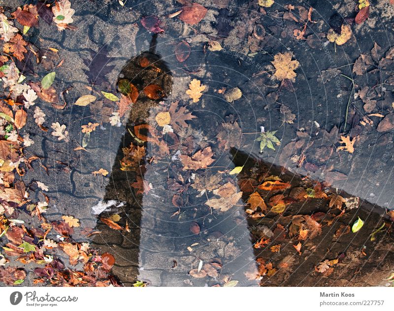 b. in autumn Weather Rain Capital city Landmark Berlin TV Tower Dirty Wet Multicoloured Puddle Colour photo Exterior shot Shadow Contrast Reflection