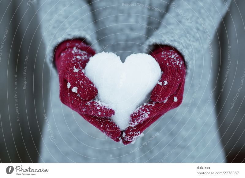 winter love Human being Hand 1 Environment Nature Winter Snow Gloves To hold on Gray Red White Happy Joie de vivre (Vitality) Love snow heart Heart Coat