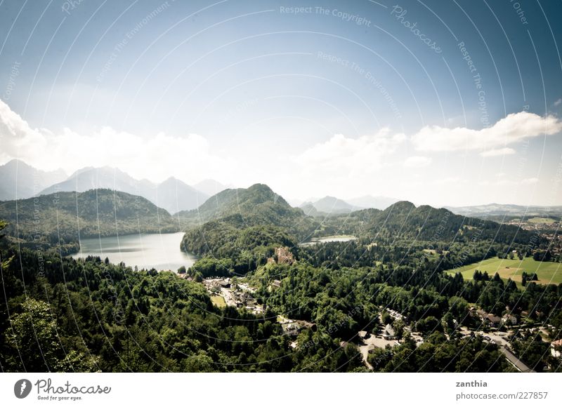 Hohenschwangau Environment Nature Landscape Sky Clouds Horizon Summer Beautiful weather Forest Alps Lake Blue Green Bavaria Germany Castle Hohenschwangau