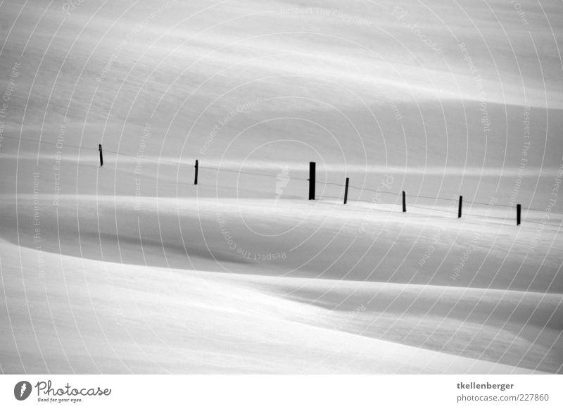 floating border Winter Snow White Fence Fence post Wire Wire fence snow surface Waves Contrast Gray Shadow Shadow play Structures and shapes Border