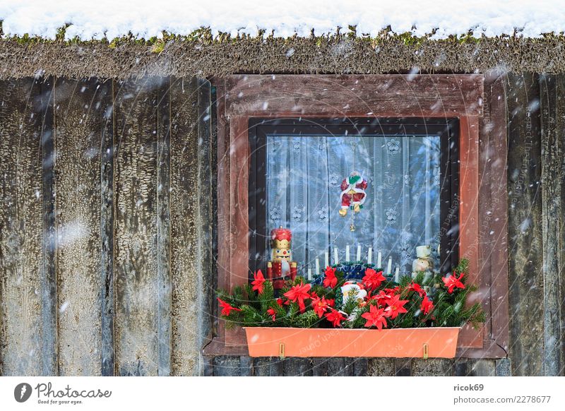 Christmassy decorated window in winter Relaxation Vacation & Travel Winter House (Residential Structure) Decoration Christmas & Advent Nature Climate Weather
