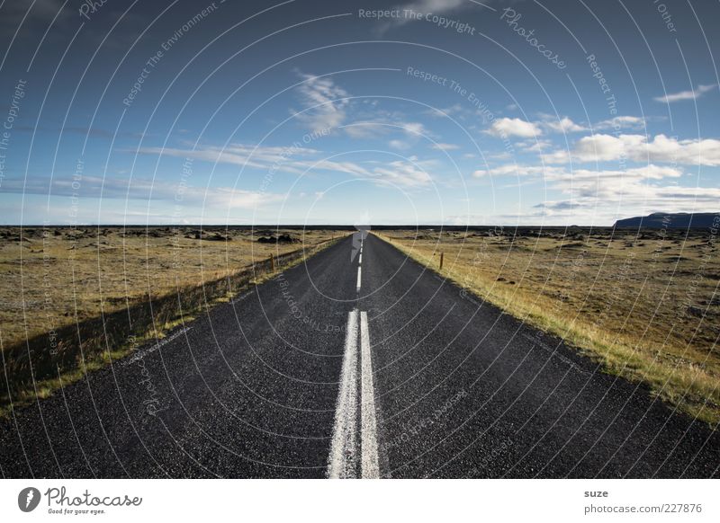 streetview Far-off places Environment Sky Horizon Climate Beautiful weather Meadow Street Lanes & trails Highway Line Target Iceland Track Progress Asphalt