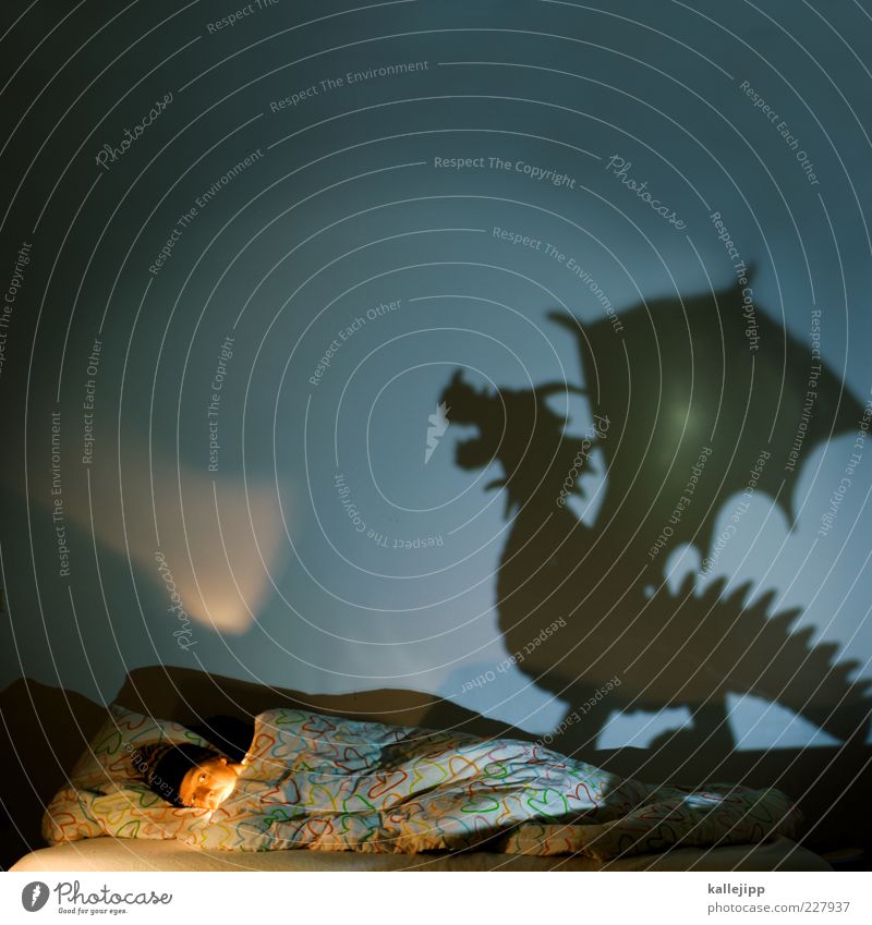 dragondream Bed Bedroom Human being Masculine Man Adults 1 Animal Wild animal Sign Sleep Dream Dark Surprise Fear Horror Fear of death Dragon Monster