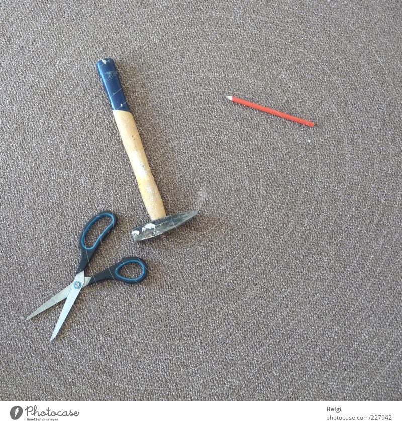 the finishing touches.... Work and employment Craftsperson Craft (trade) Scissors Hammer Pencil Carpet Wood Metal Utilize Lie Simple Blue Brown Gray Red Black