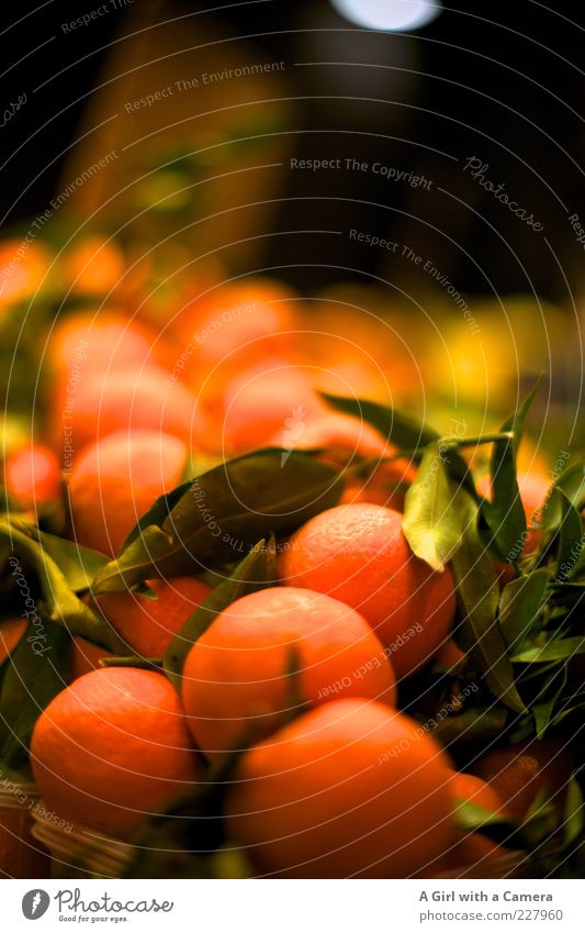 be my clementine Fruit Tangerine Citrus fruits Nutrition Organic produce Vegetarian diet Markets Market stall Lie Healthy Delicious Sweet Orange Mature Vitamin