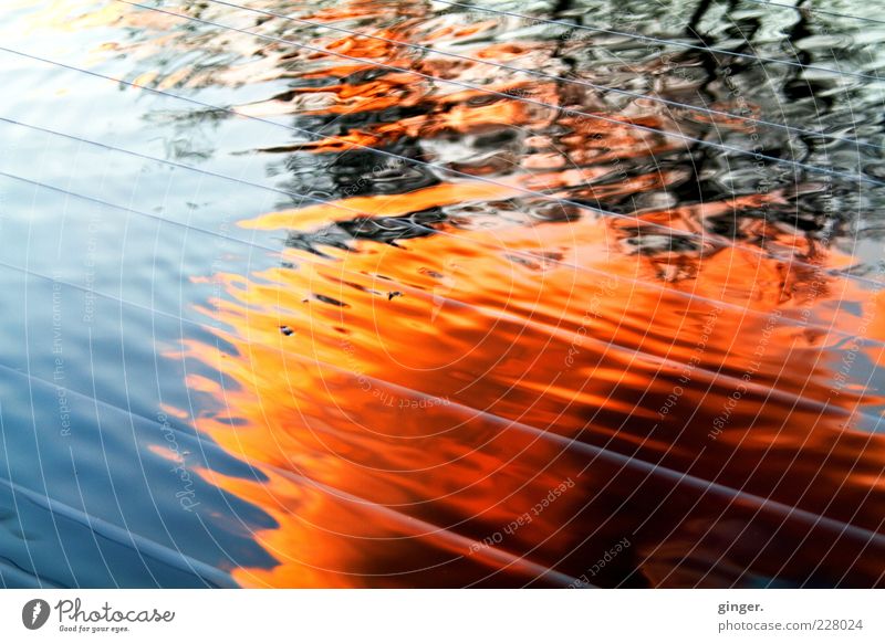 firewater Environment Fire Water Sky Sunrise Sunset Weather Beautiful weather Pond Movement Glittering Waves Reflection String Curls Force Colour