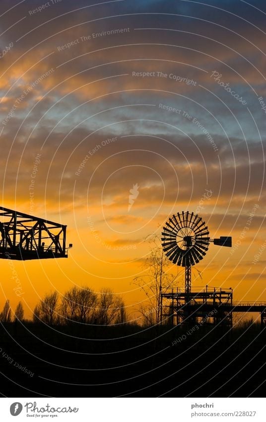 windmill Technology Wind energy plant Sky Sunrise Sunset Sunlight Drought Steel Rotate Yellow Gold Black Colour photo Exterior shot Copy Space top Evening