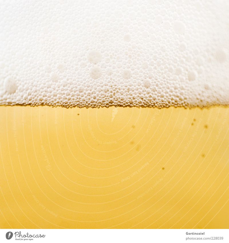 Cheers Food Beverage Alcoholic drinks Beer Delicious Yellow Gold Froth Alcoholism Colour photo Close-up Detail Macro (Extreme close-up) Copy Space bottom