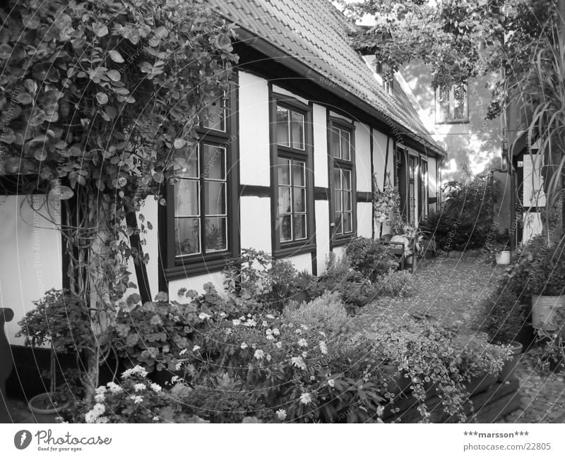 Fisherman's house in Warnemünde Health Spa Front garden Rostock Mecklenburg-Western Pomerania House (Residential Structure) Half-timbered facade Germany